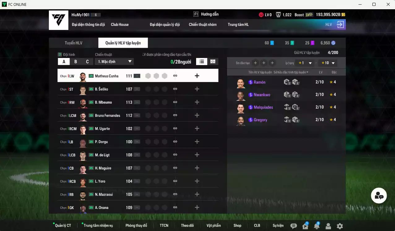 Ảnh ACC 193993b trắng, có thẻ đổi tên