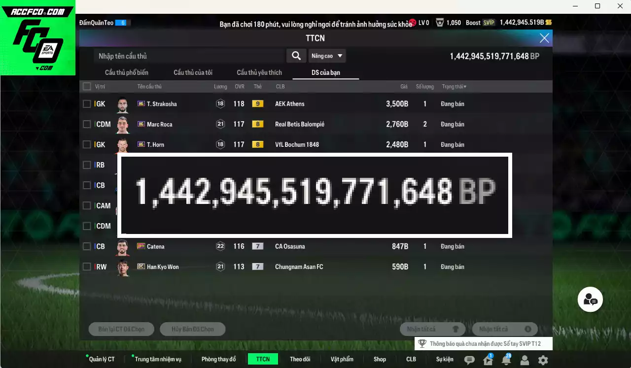 ACC 1442945b trắng, còn CP giảm thuế