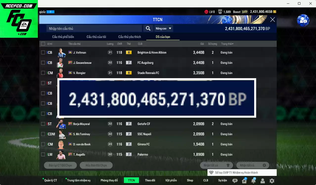 ACC 2431800b trắng