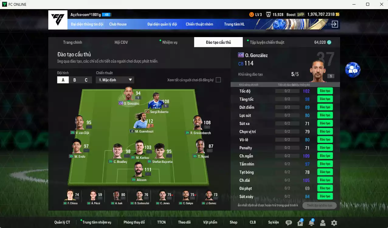 Ảnh ACC 1976707b trắng, có thẻ đổi tên