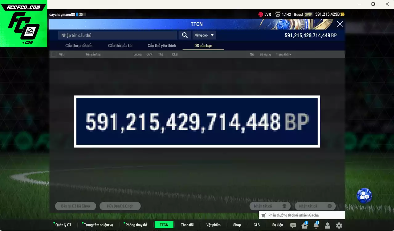 ACC 591215b trắng. HLV tạm