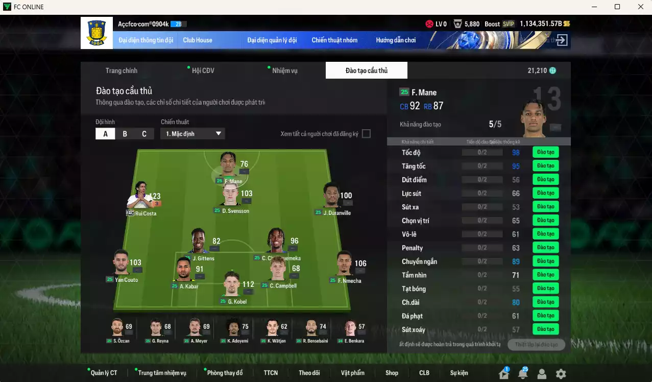 Ảnh ACC 1134351b trắng, có thẻ đổi tên